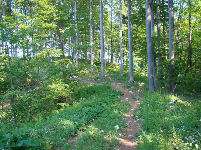 KONJIŠKA GORA, Stolpnik, 1012m) 22.5.2011 - foto