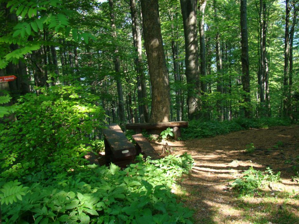 KONJIŠKA GORA, Stolpnik, 1012m) 22.5.2011 - foto povečava