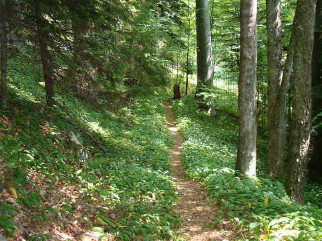 KONJIŠKA GORA, Stolpnik, 1012m) 22.5.2011 - foto