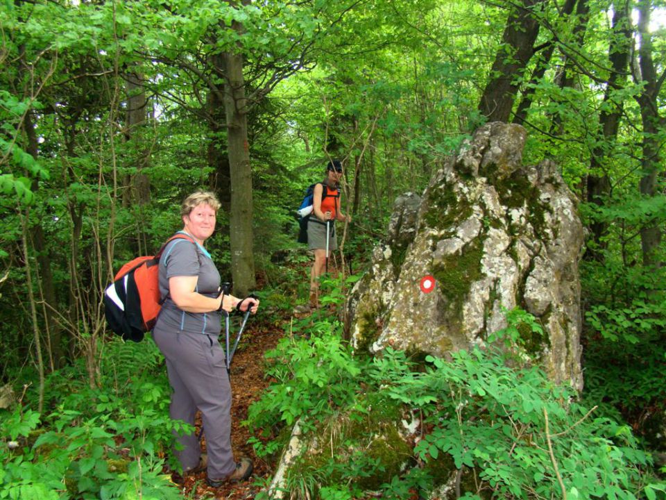 DOBRNA - ŠPIK in PAŠKI KOZJAK - foto povečava