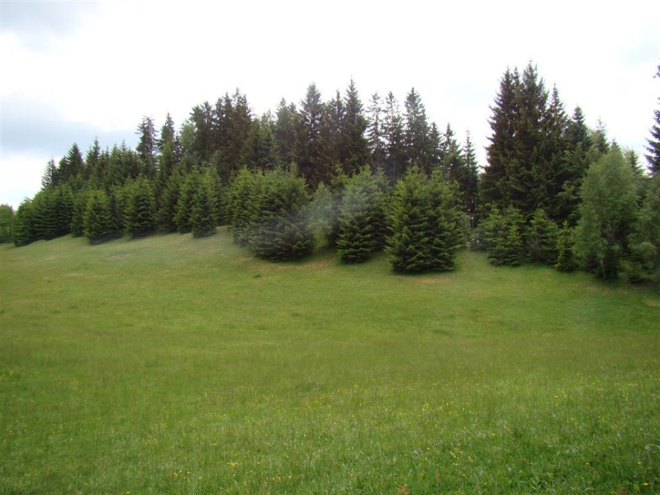 DOBRNA - ŠPIK in PAŠKI KOZJAK - foto povečava