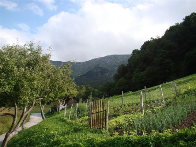 ČRNA PRST, 1844m - RODICA, 1966m - foto