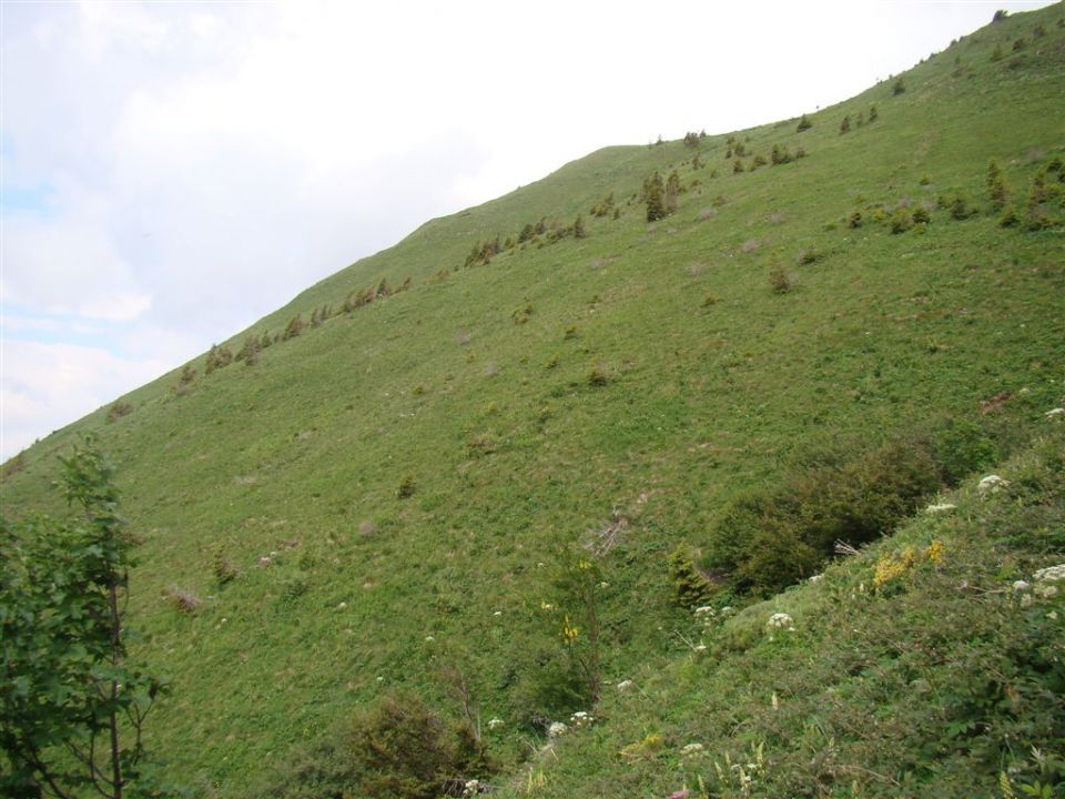 ČRNA PRST, 1844m - RODICA, 1966m - foto povečava