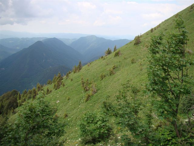 ČRNA PRST, 1844m - RODICA, 1966m - foto