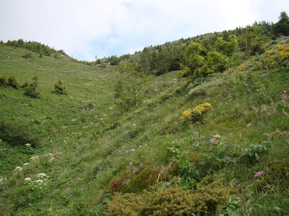 ČRNA PRST, 1844m - RODICA, 1966m - foto povečava