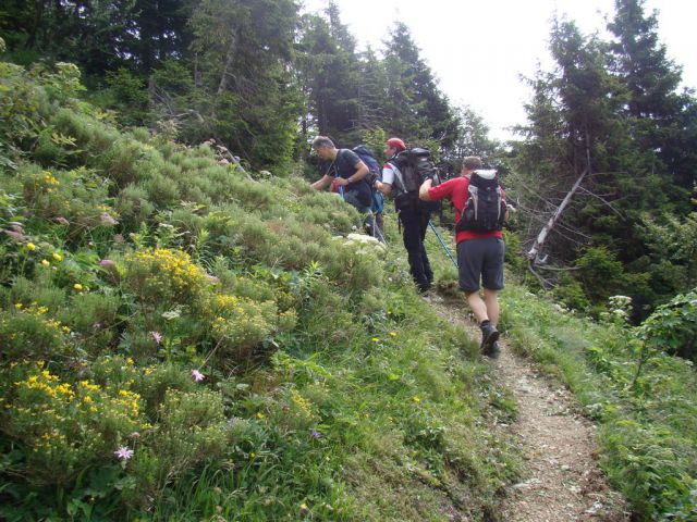 ČRNA PRST, 1844m - RODICA, 1966m - foto