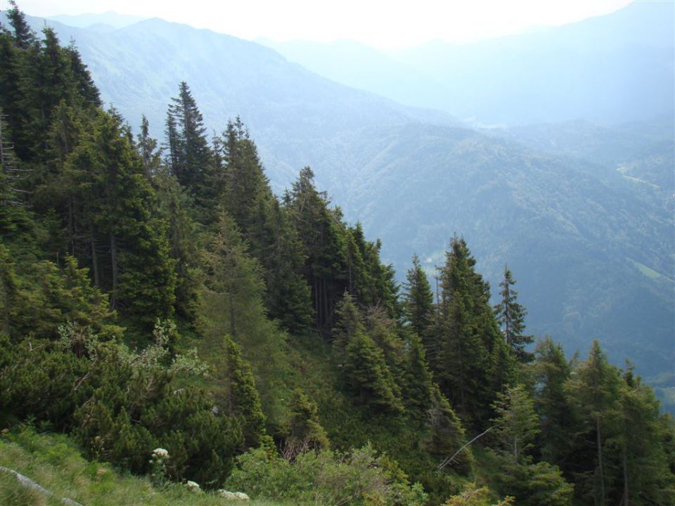 ČRNA PRST, 1844m - RODICA, 1966m - foto povečava