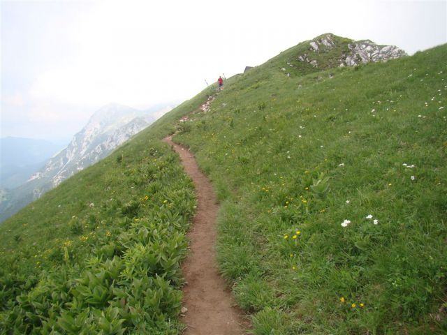 ČRNA PRST, 1844m - RODICA, 1966m - foto