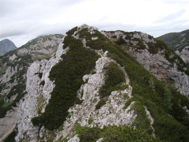 VELIKI ZVOH, KORENA, VRH KALŠKEGA GREBENA - foto