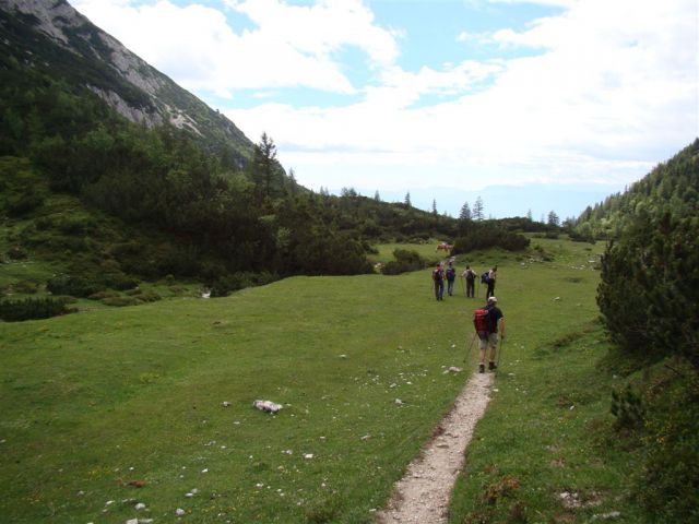 VELIKI ZVOH, KORENA, VRH KALŠKEGA GREBENA - foto