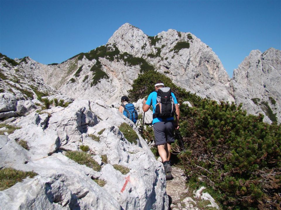 OKREŠELJ, JEZERSKO SEDLO, ČEŠKA KOČA, 10.7.11 - foto povečava