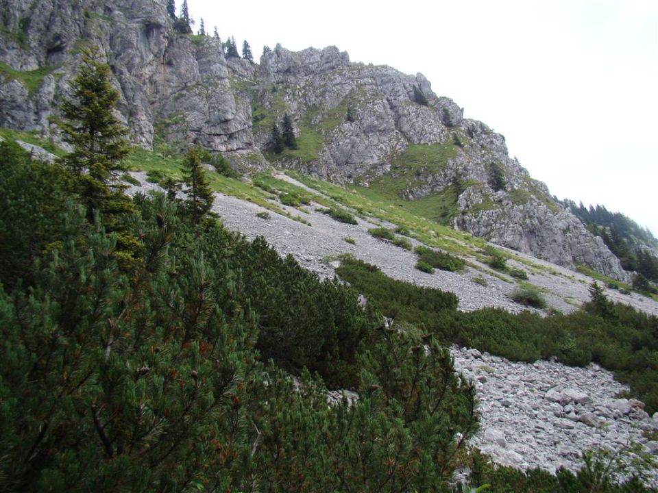 RATITOVEC (1667 m) in LUBNIK (1025 m) - foto povečava