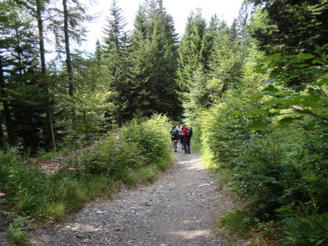 RATITOVEC (1667 m) in LUBNIK (1025 m) - foto