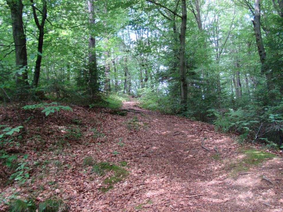 RATITOVEC (1667 m) in LUBNIK (1025 m) - foto povečava