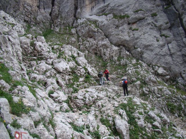 POHOD: VRATA-KRIŠKI PODI-VRŠIČ, 29.-31.7.2011 - foto