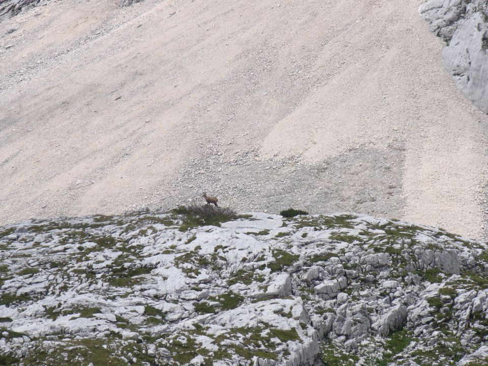 POHOD: VRATA-KRIŠKI PODI-VRŠIČ, 29.-31.7.2011 - foto povečava