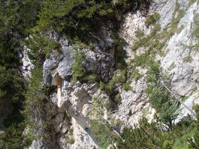 POHOD: VRATA-KRIŠKI PODI-VRŠIČ, 29.-31.7.2011 - foto