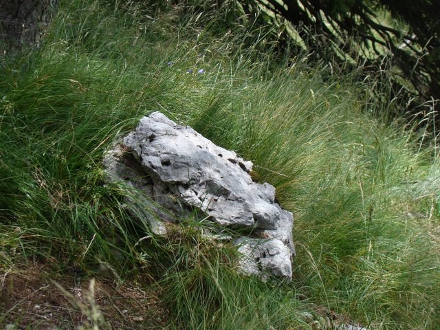 POHOD: VRATA-KRIŠKI PODI-VRŠIČ, 29.-31.7.2011 - foto