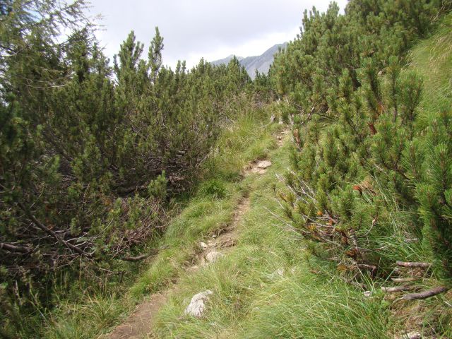 POHOD: VRATA-KRIŠKI PODI-VRŠIČ, 29.-31.7.2011 - foto