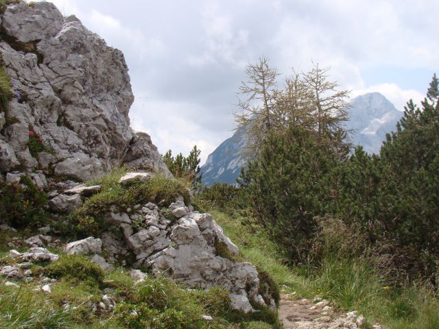 POHOD: VRATA-KRIŠKI PODI-VRŠIČ, 29.-31.7.2011 - foto