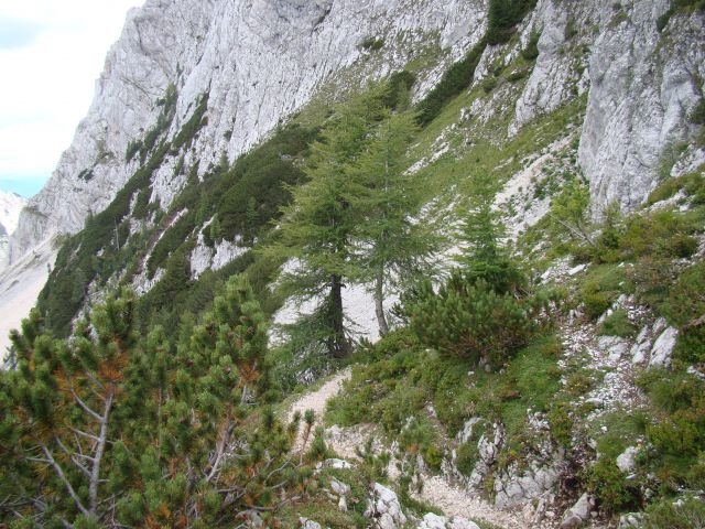 POHOD: VRATA-KRIŠKI PODI-VRŠIČ, 29.-31.7.2011 - foto