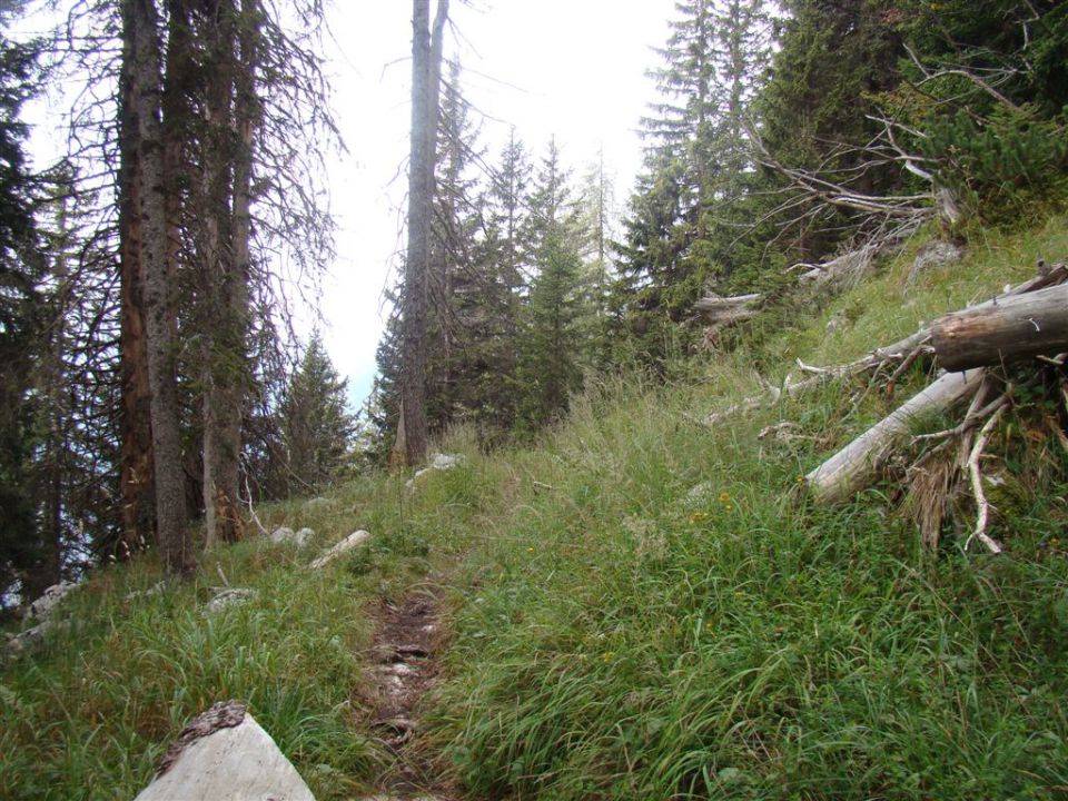 JALOVEC, 2645 m, 14-15.8.2011 - foto povečava