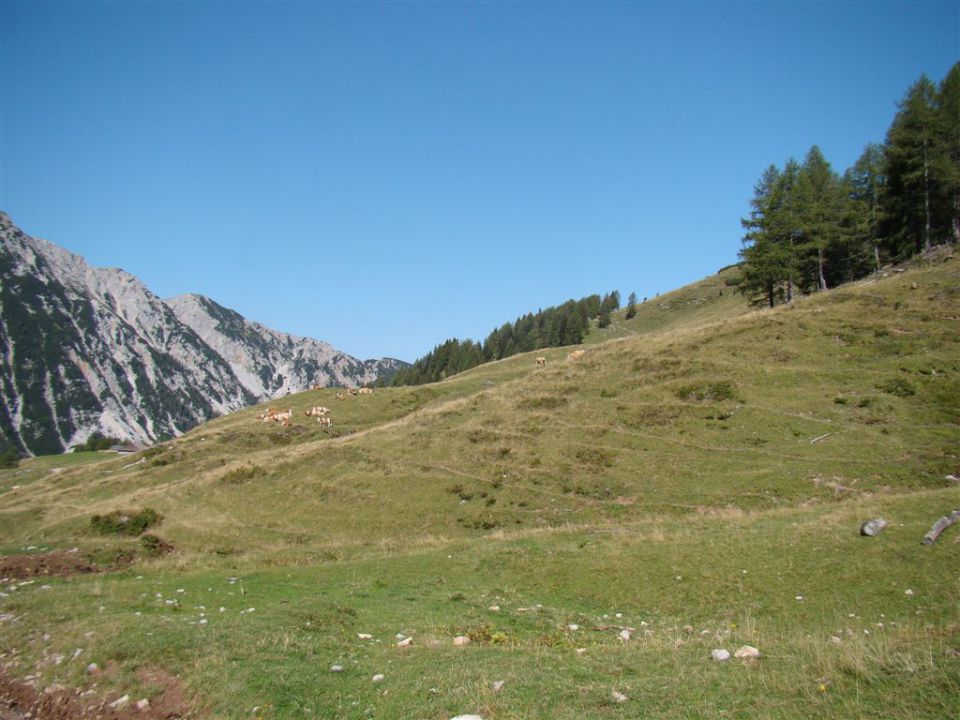 STOL, 2236 m, 20.8.2011  - foto povečava