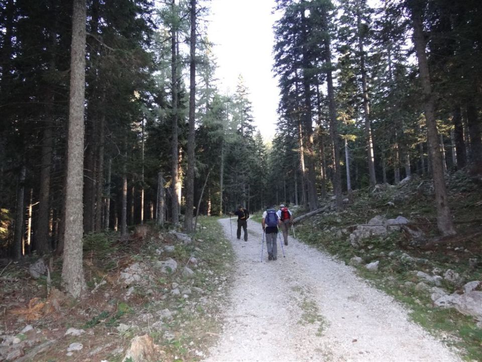 OJSTRICA, 2350 m, 11.9.2011 - foto povečava