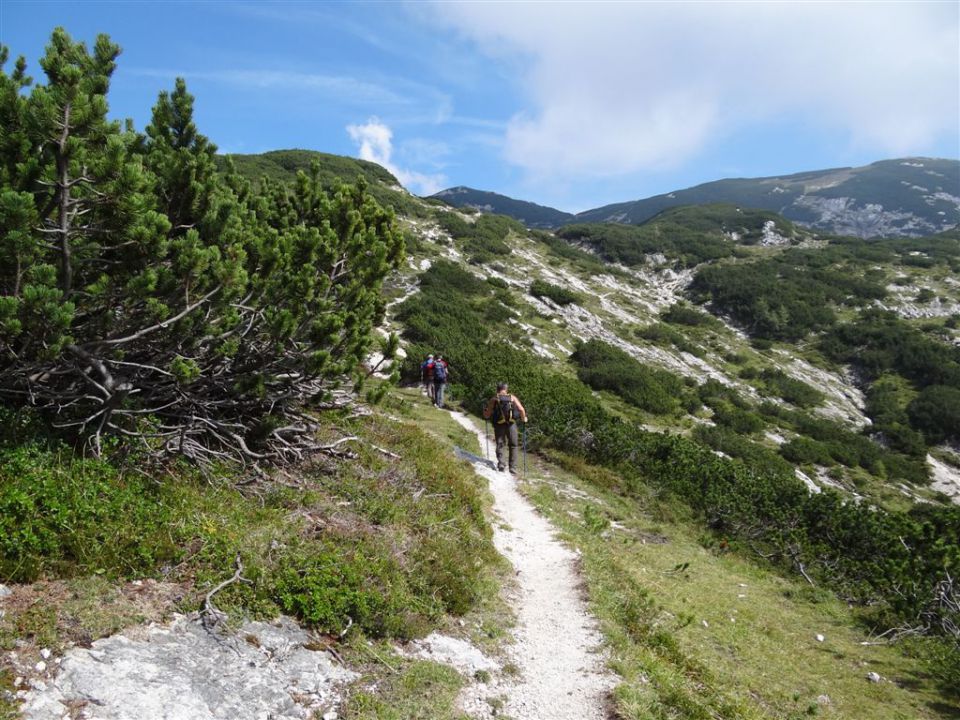 OJSTRICA, 2350 m, 11.9.2011 - foto povečava