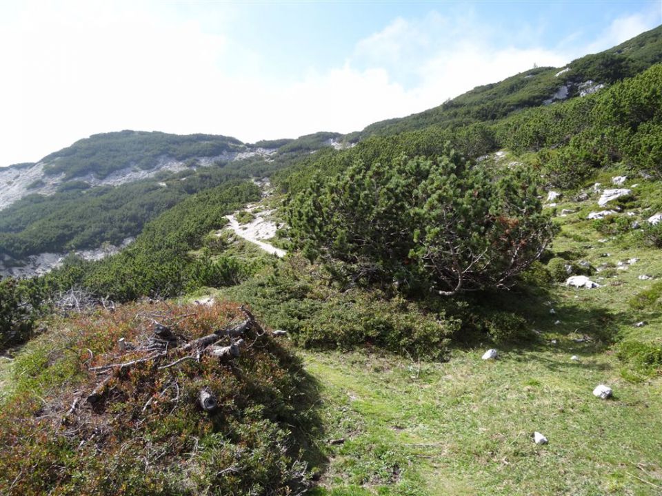 OJSTRICA, 2350 m, 11.9.2011 - foto povečava