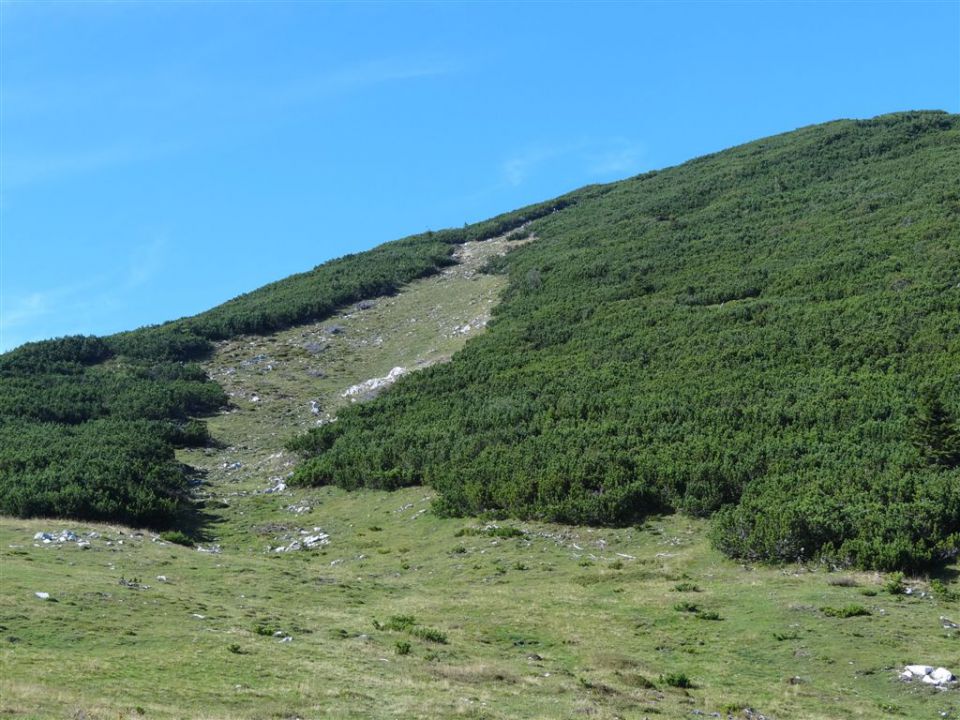 OJSTRICA, 2350 m, 11.9.2011 - foto povečava