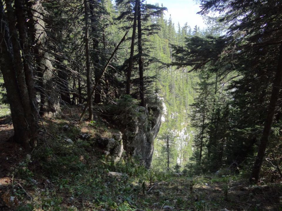 OJSTRICA, 2350 m, 11.9.2011 - foto povečava