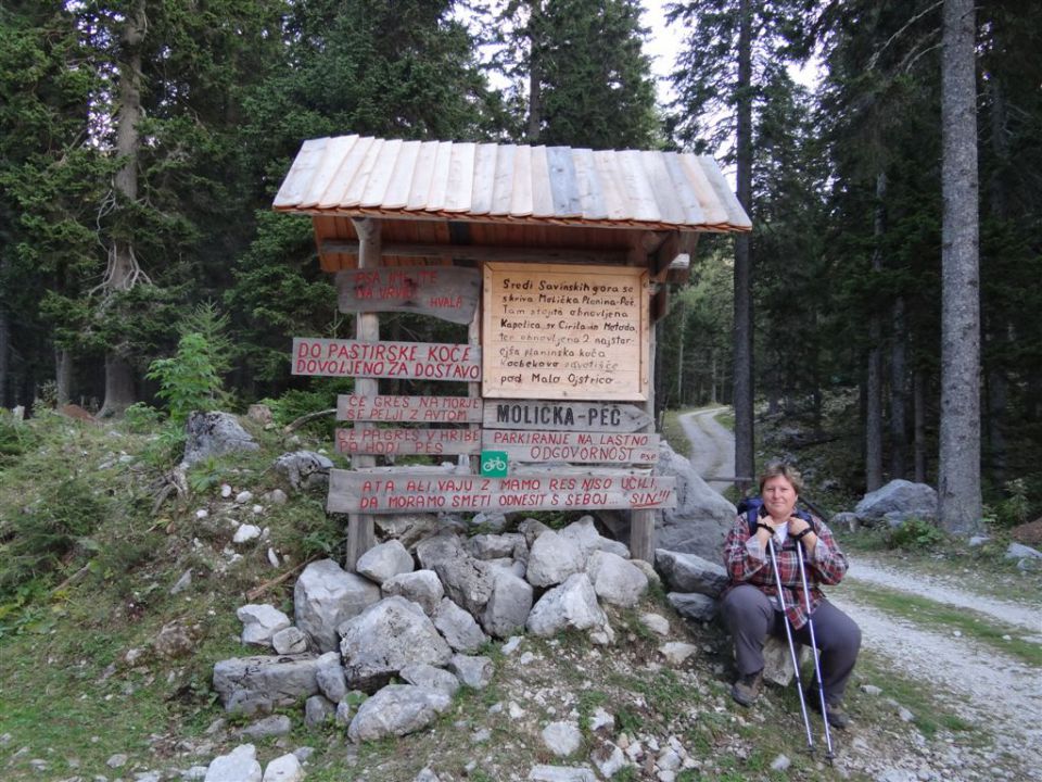 OJSTRICA, 2350m, 18.9.2011 - foto povečava