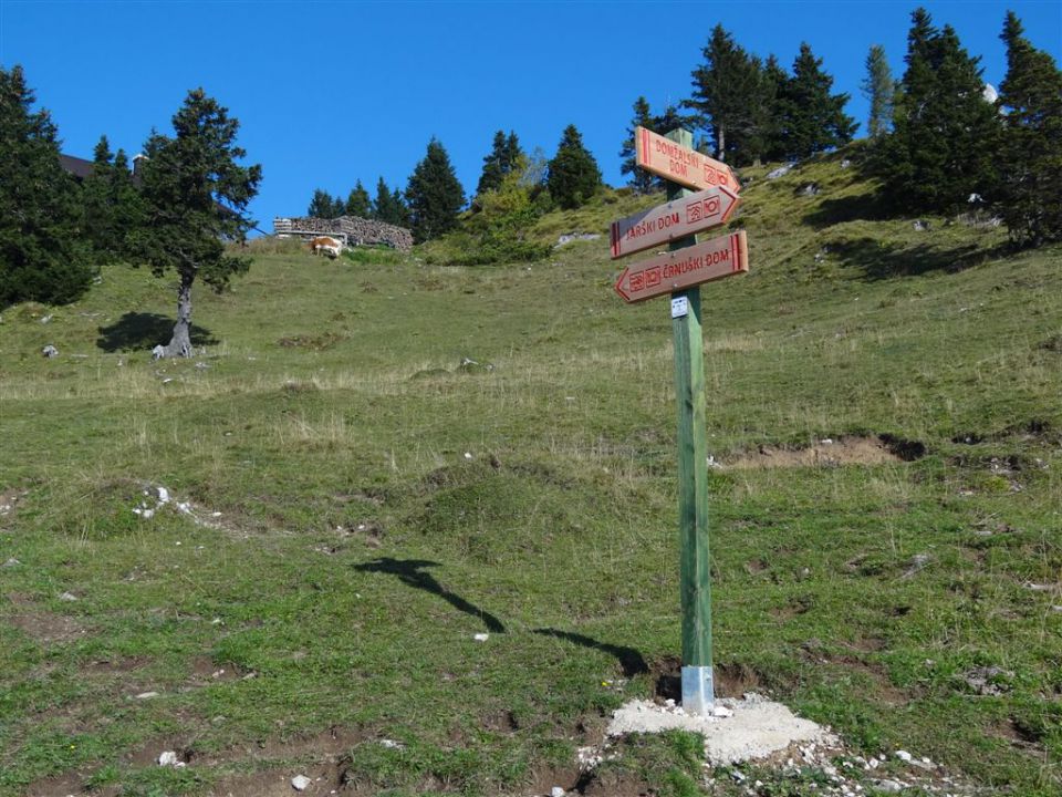 VELIKA PLANINA (1666 m) - foto povečava