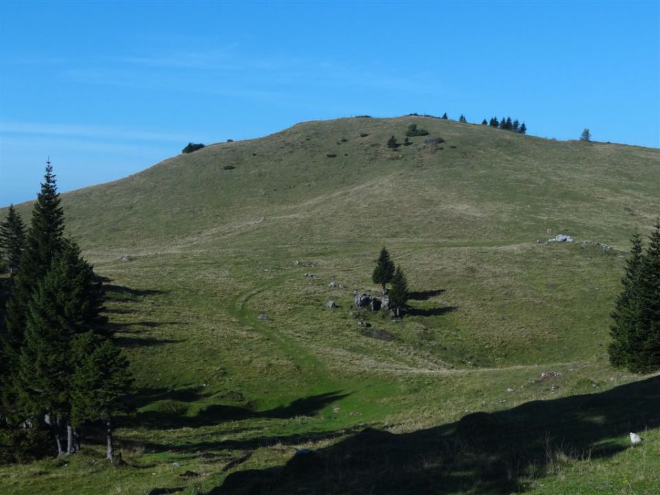 VELIKA PLANINA (1666 m) - foto povečava