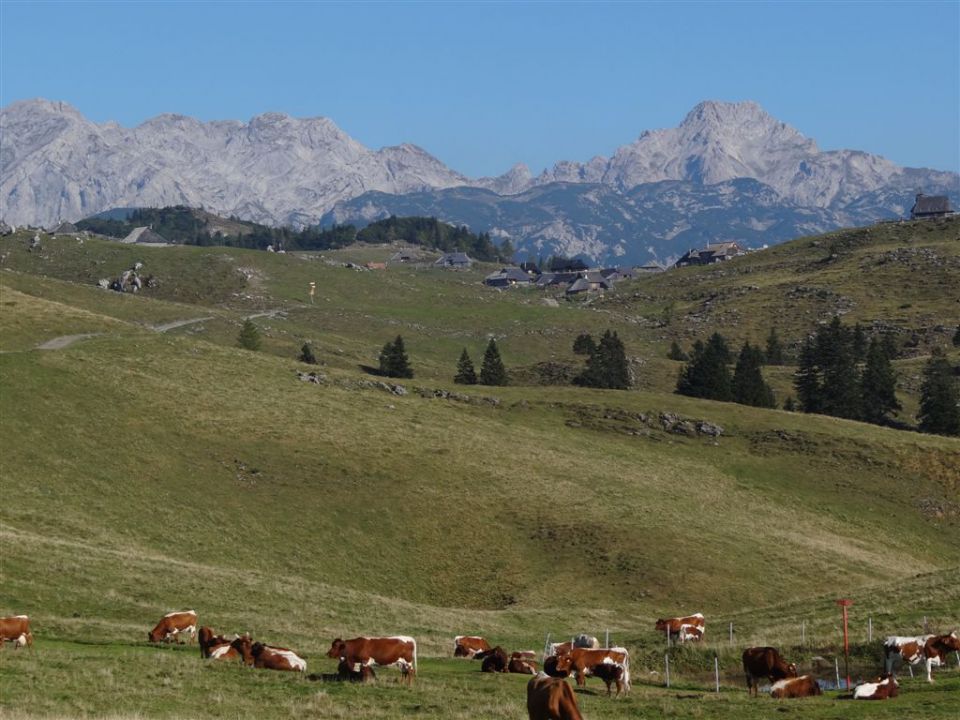 VELIKA PLANINA (1666 m) - foto povečava