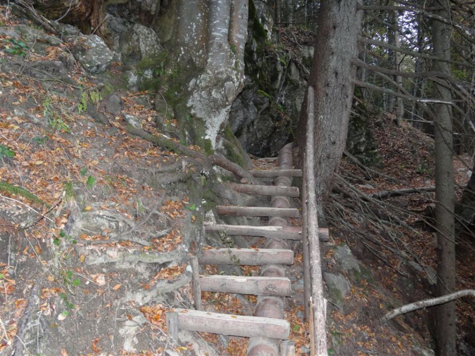 RADUHA, 2062 m - foto povečava