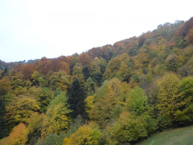 KUM, 1220 m - foto