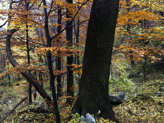 BOČ, 978 m v jeseni - foto