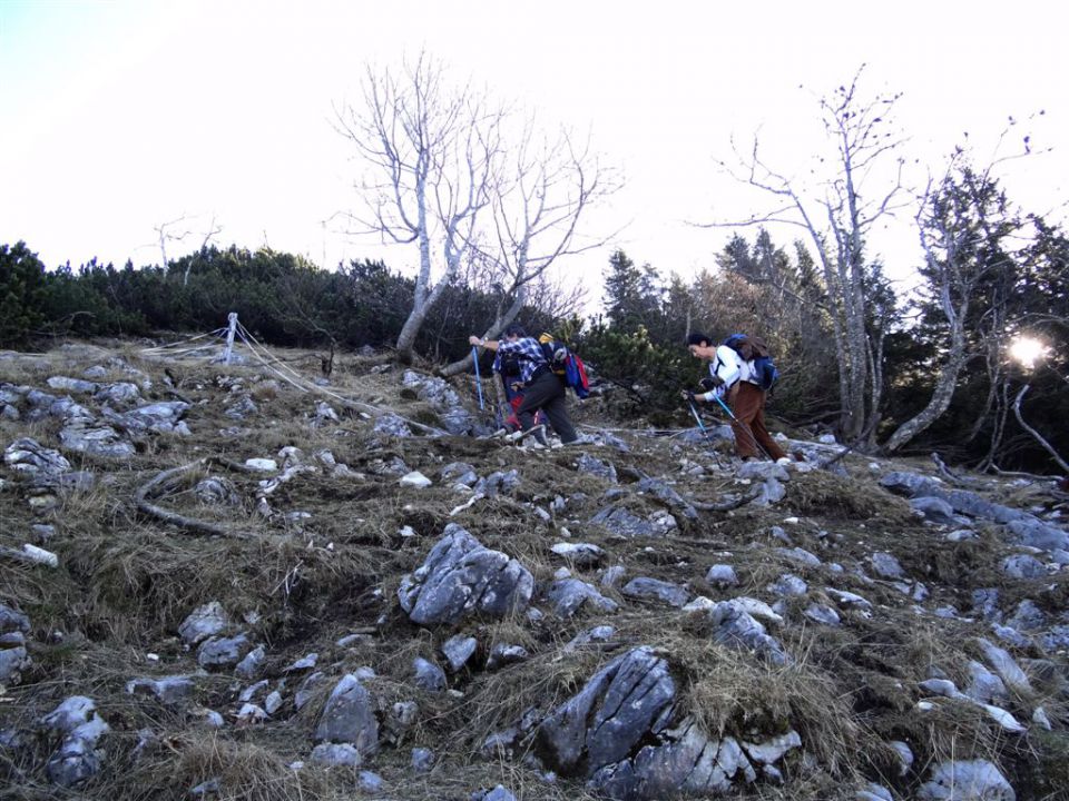 KRIŠKA GORA - TOLSTI VRH, 1715 m - foto povečava