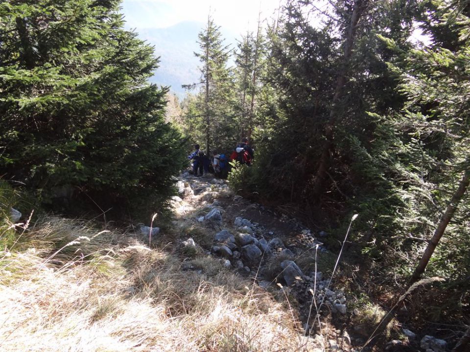 KRIŠKA GORA - TOLSTI VRH, 1715 m - foto povečava