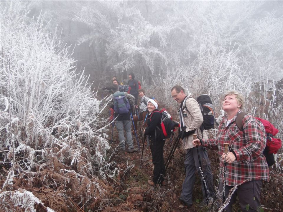 KRIM, 1107 m, 27.11.2011 - foto povečava