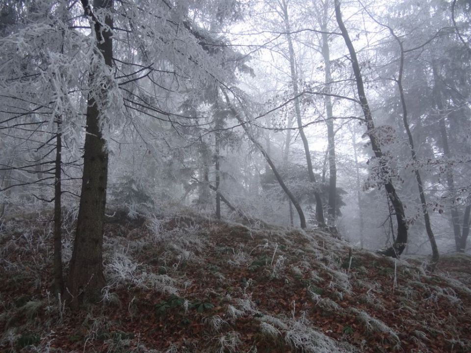 KRIM, 1107 m, 27.11.2011 - foto povečava