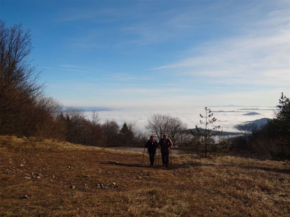 KRIM, 1107 m, 27.11.2011 - foto povečava