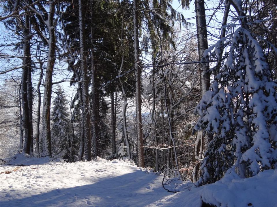 ZAKLJUČNI POHOD, 18.12.2011 - foto povečava