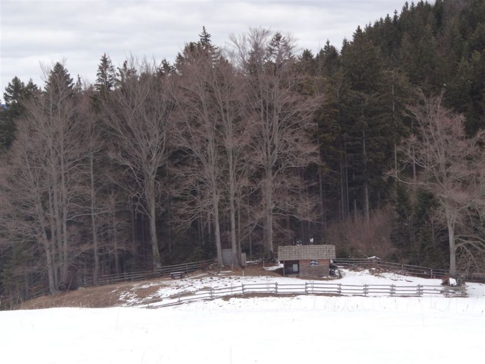 MENINA PLANINA, 26.12.2011  - foto povečava