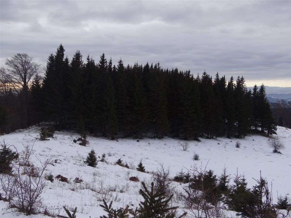 MENINA PLANINA, 26.12.2011  - foto povečava