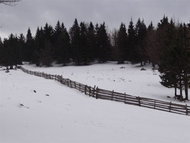 MENINA PLANINA, 26.12.2011  - foto