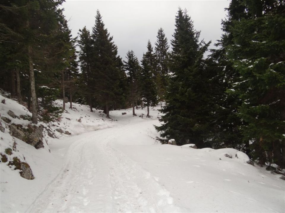 MENINA PLANINA, 26.12.2011  - foto povečava