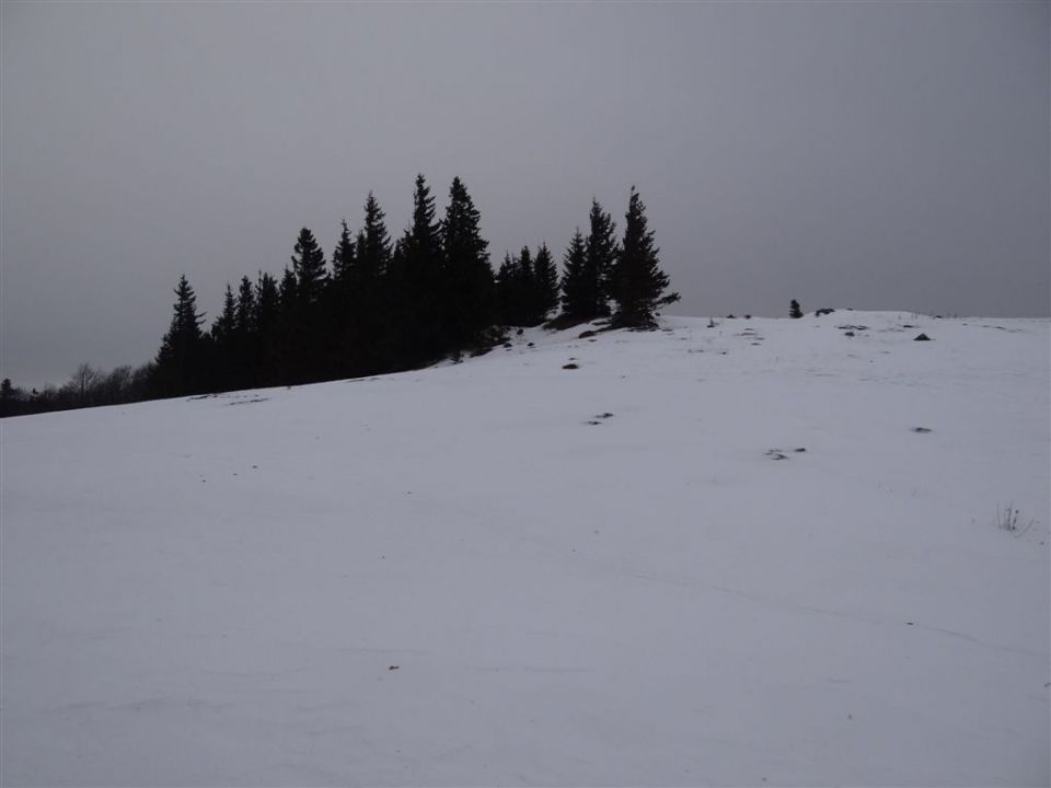 MENINA PLANINA, 26.12.2011  - foto povečava